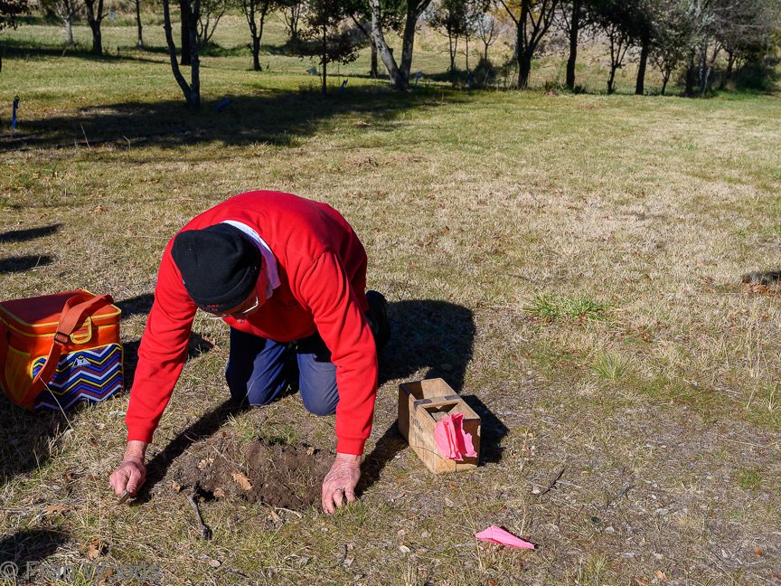 Truffle hunting