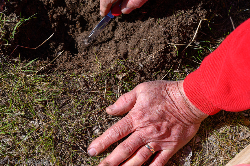 Truffle hunting