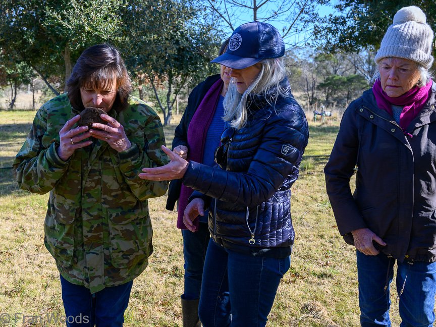 Truffle hunting