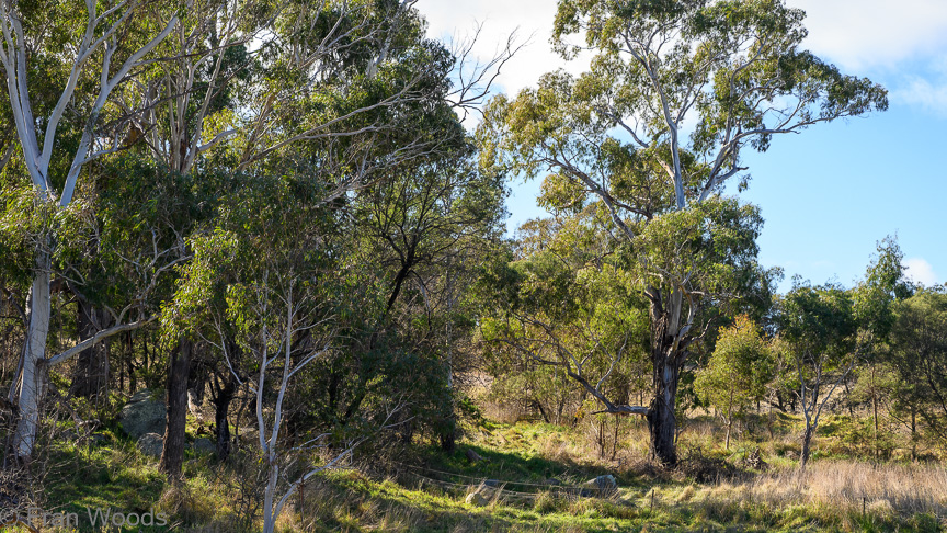 Views around the property