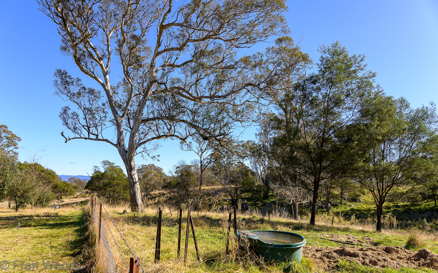 Views around the property