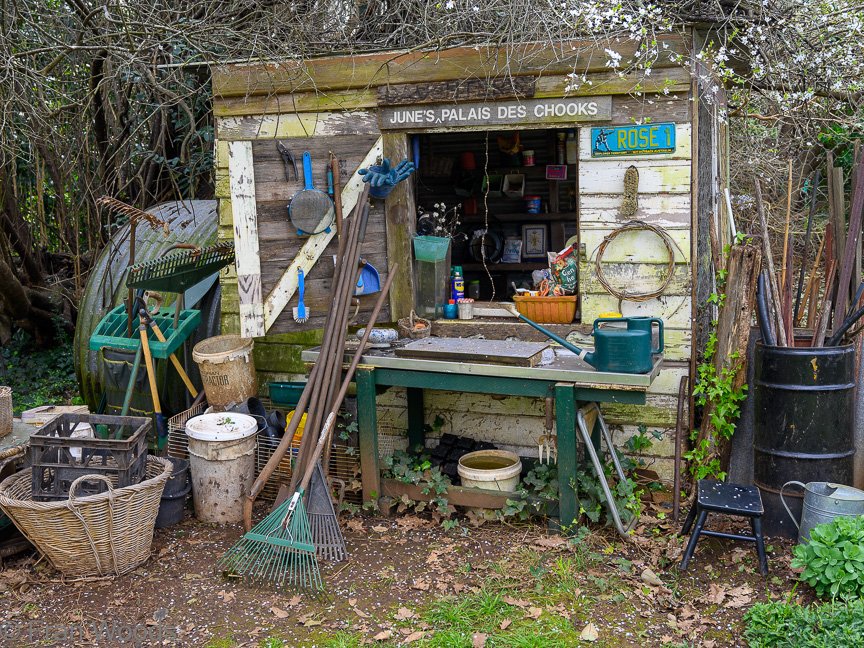 The Matthews garden