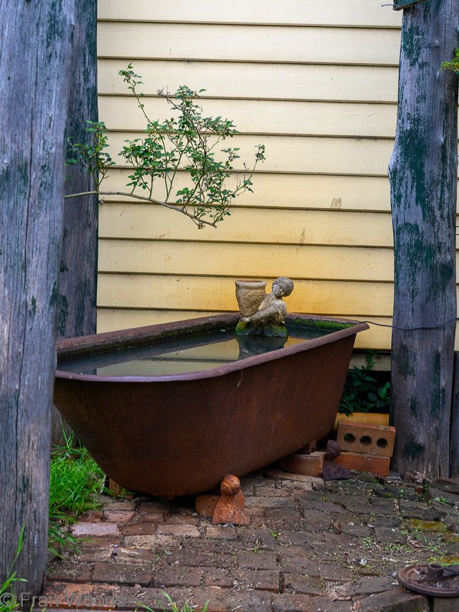 The Matthews garden