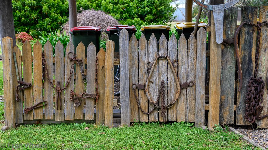 The Armstrong-Sweedman garden