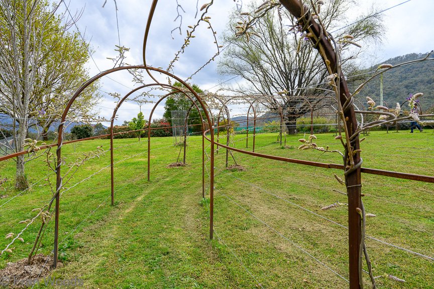 The Irving garden