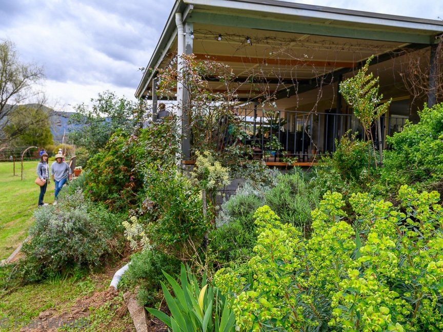The Irving garden