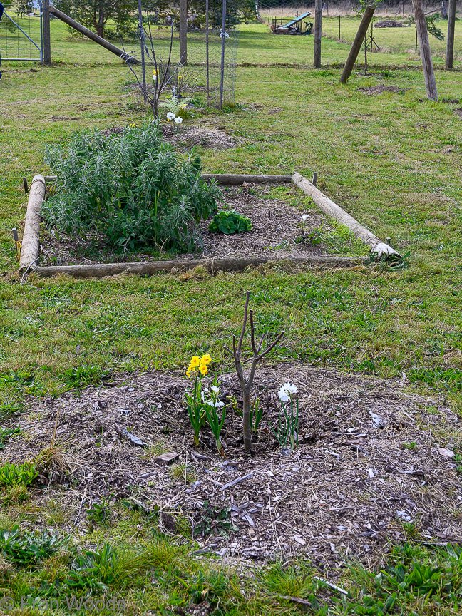 The Stone garden