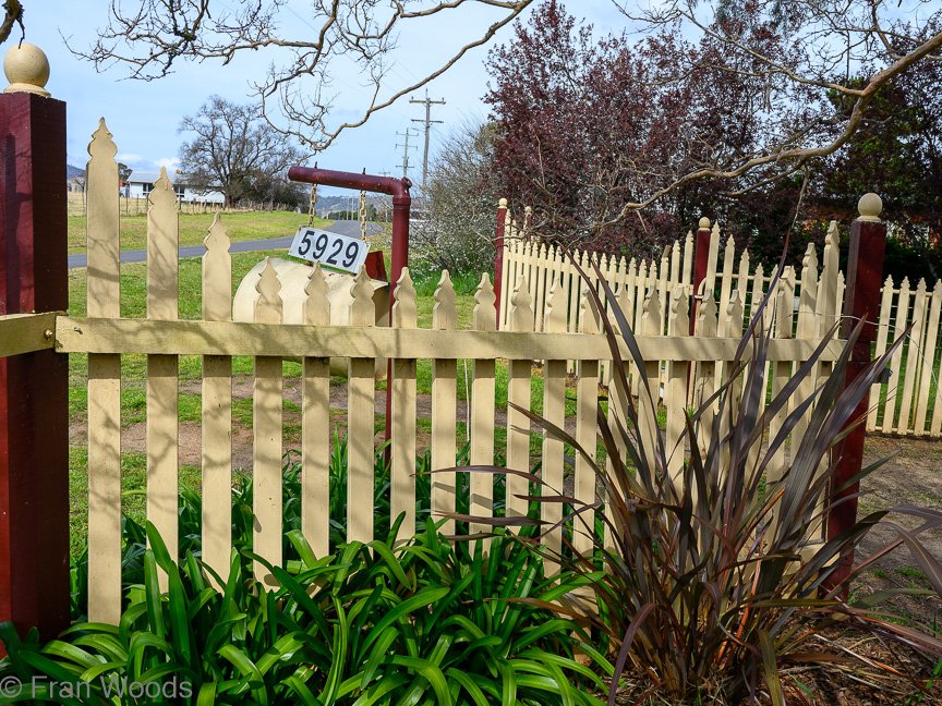 The Matthews garden