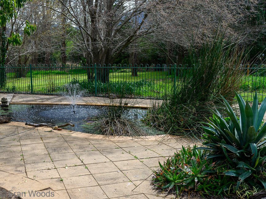 The Matthews garden