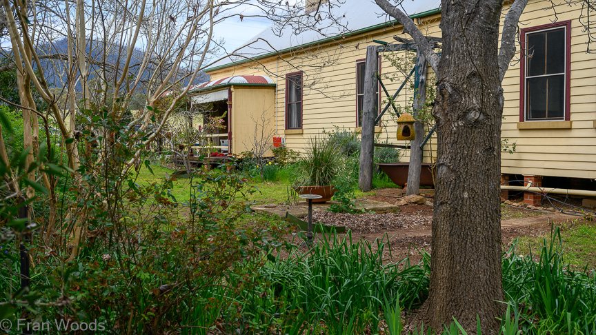 The Matthews garden