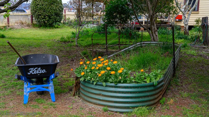 The Matthews garden
