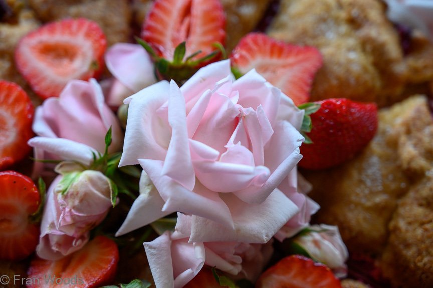 Glorious dessert choices