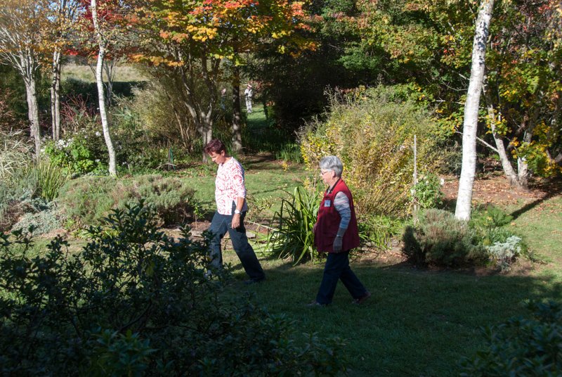 Visit to Birchbeck garden