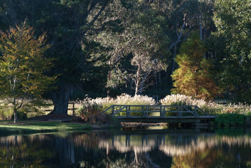 Prittlewell garden visit