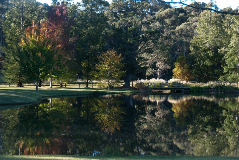 Prittlewell garden visit