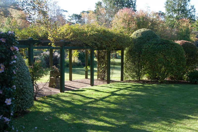 Prittlewell garden visit