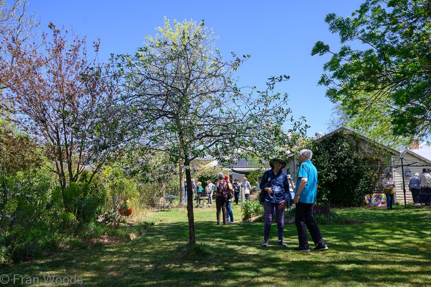Burton's garden