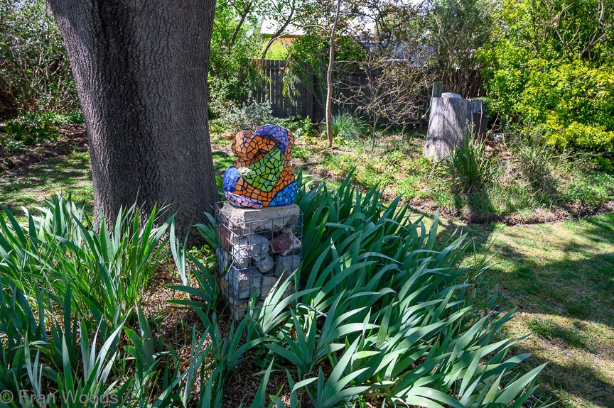 Burton's garden