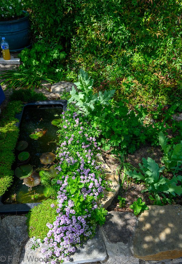 Courtenay-Crombie's garden
