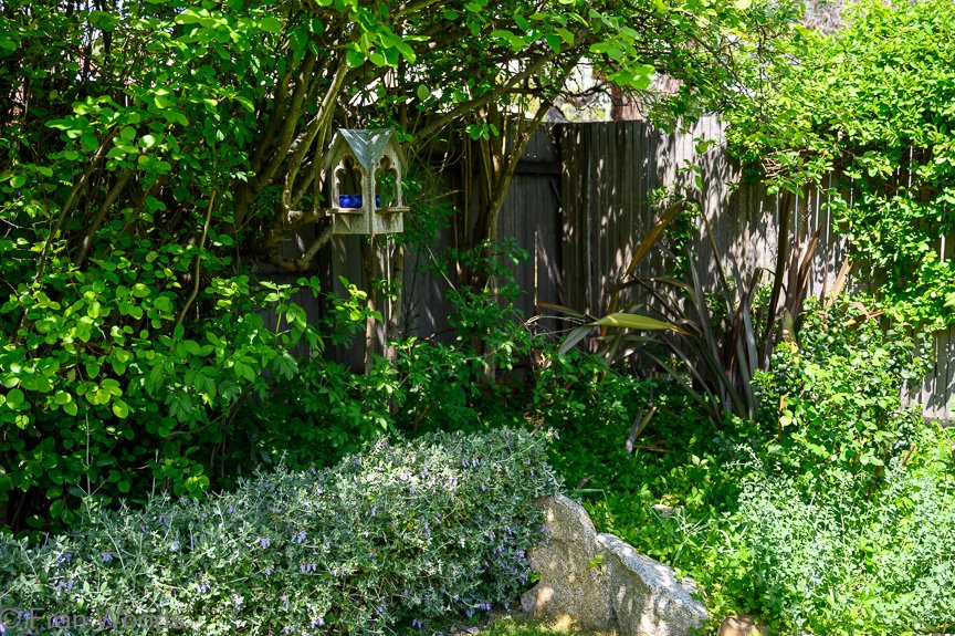 Courtenay-Crombie's garden