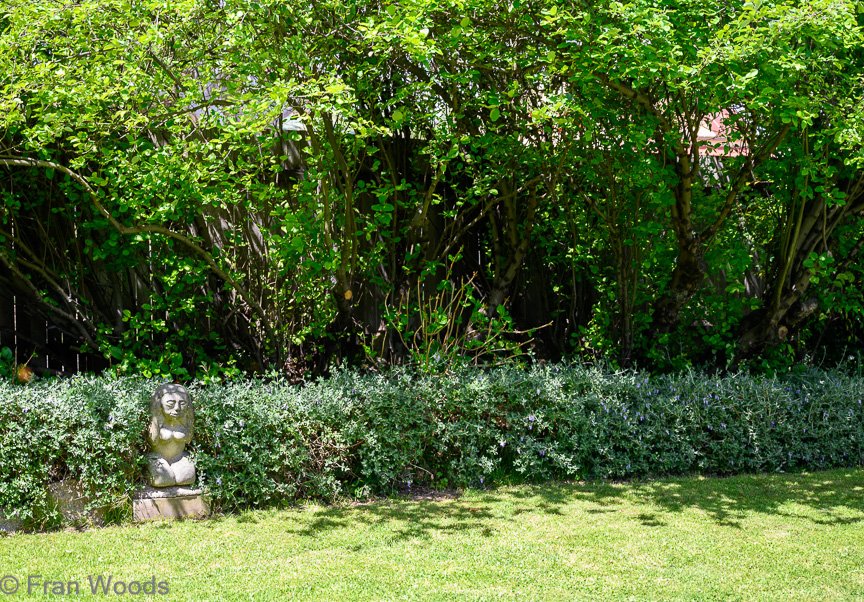 Courtenay-Crombie's garden