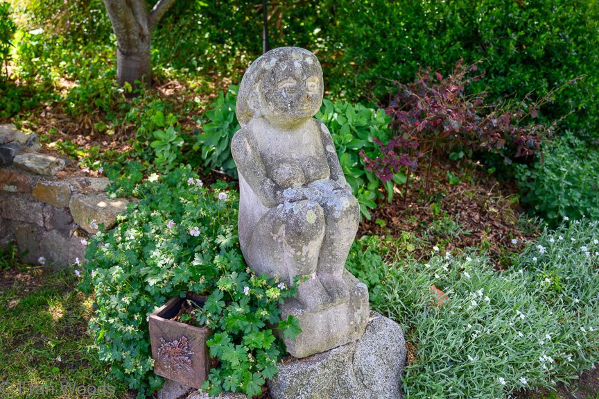 Courtenay-Crombie's garden