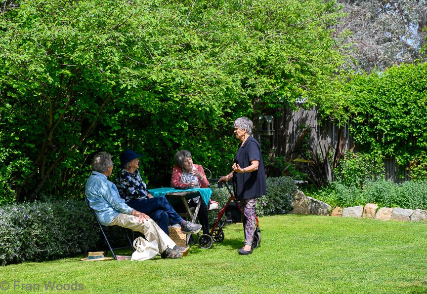 Courtenay-Crombie's garden