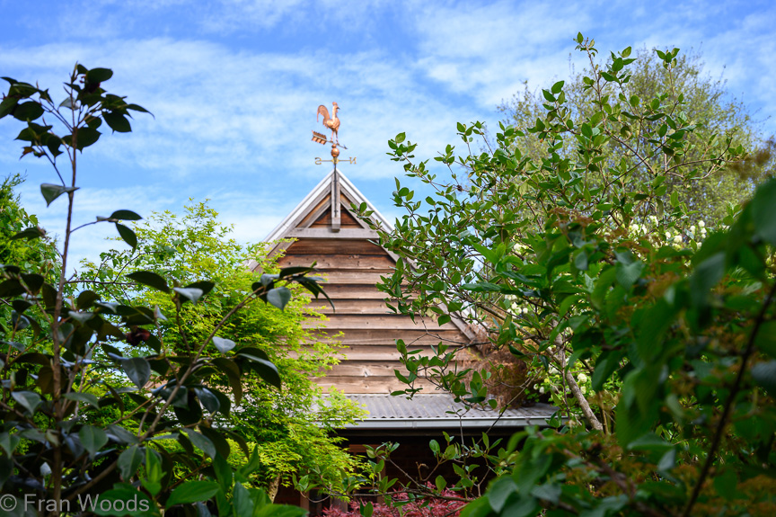 Hart & Robertson garden