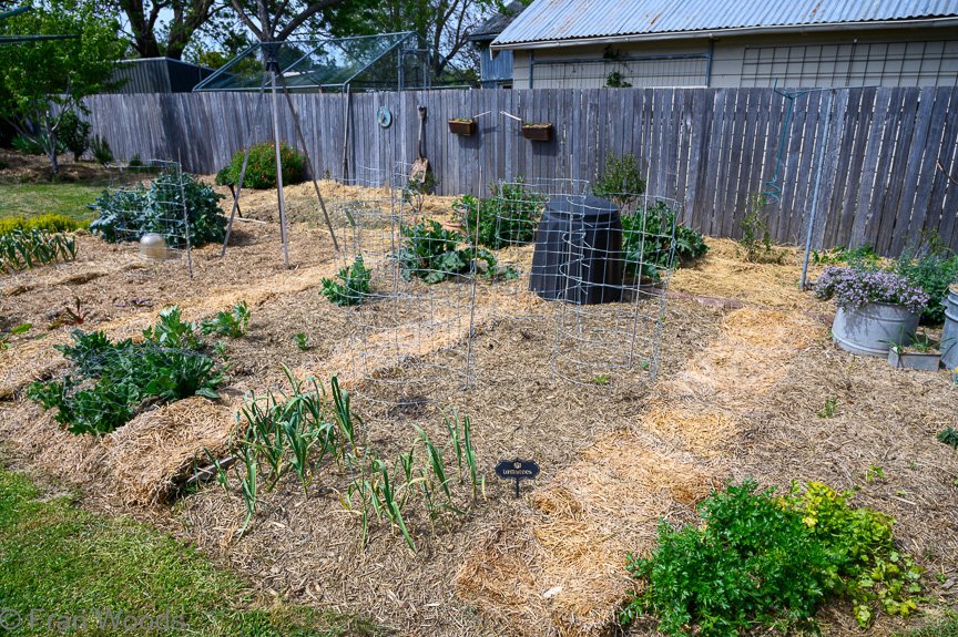 Glover's garden
