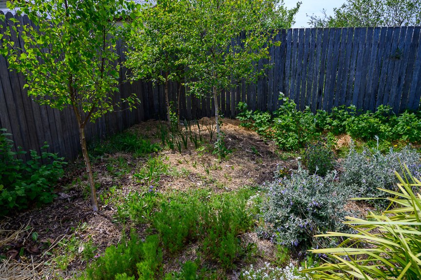 Glover's garden