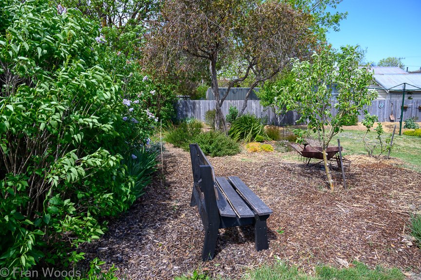 Glover's garden