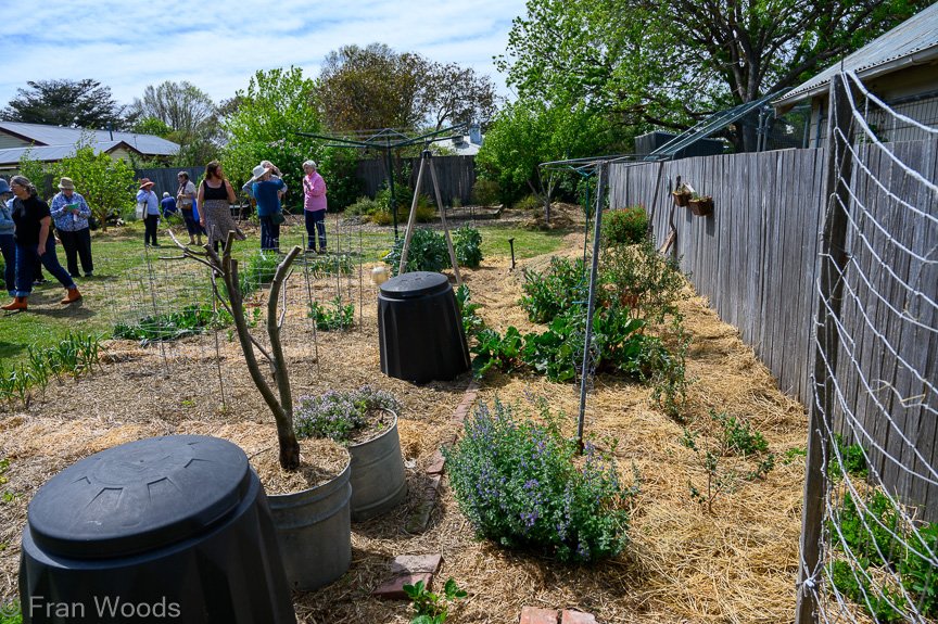 Glover's garden