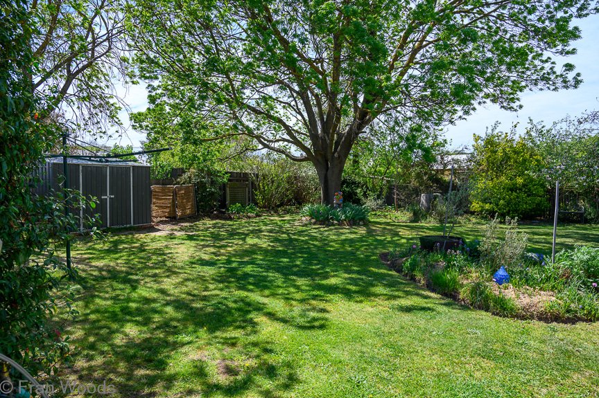 Burton's garden