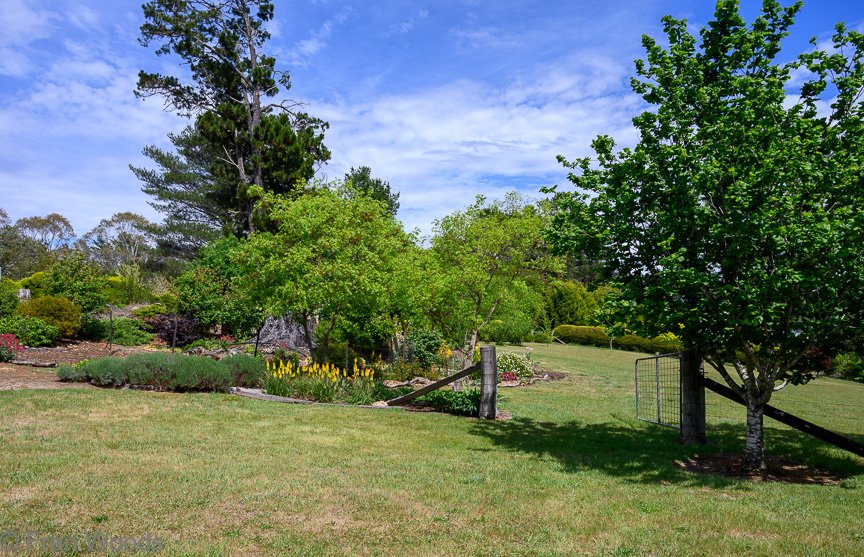 Garden 1