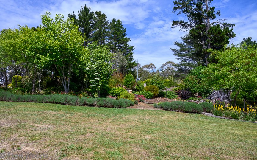 Garden 1
