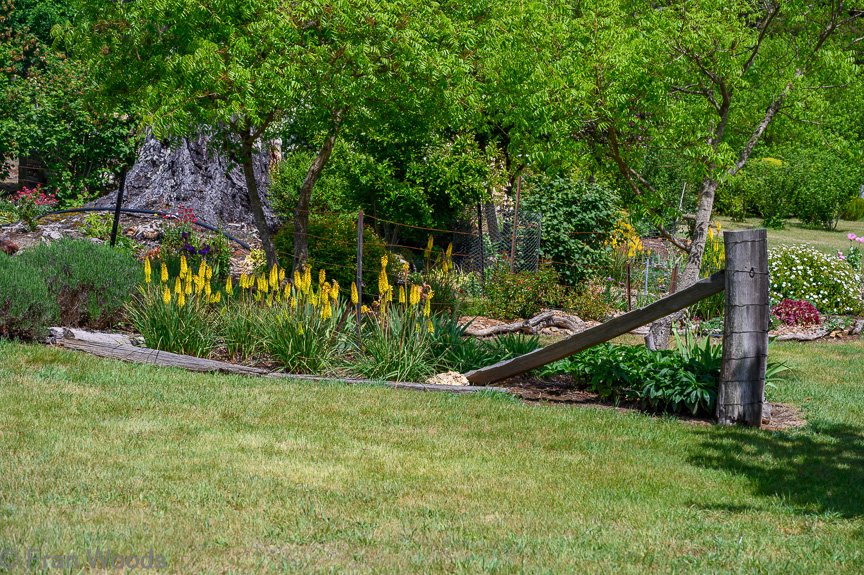 Garden 1