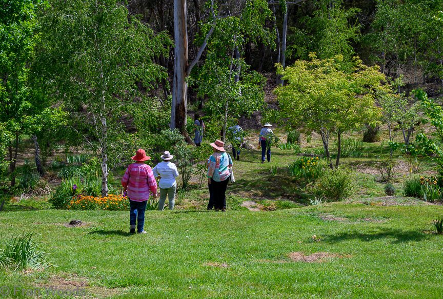 Garden 1