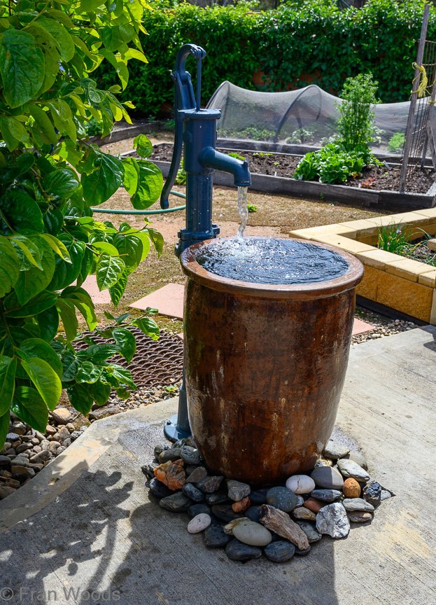 Garden 1