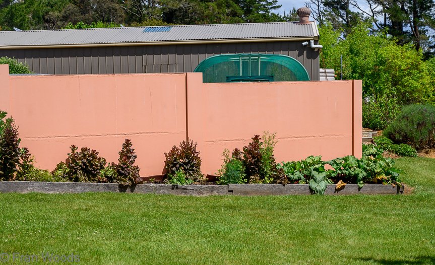 Garden 1