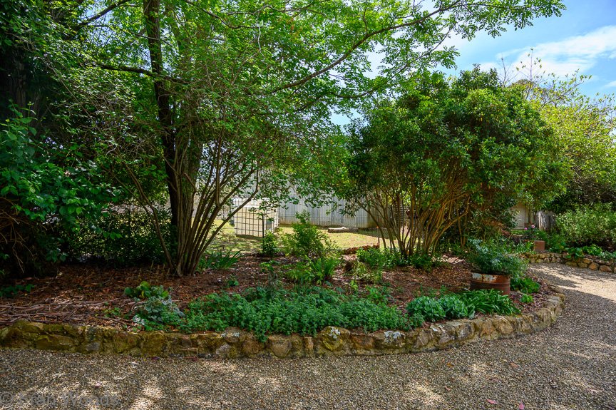 Garden 2