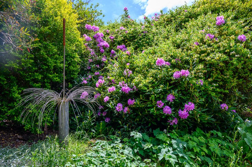 Garden 2