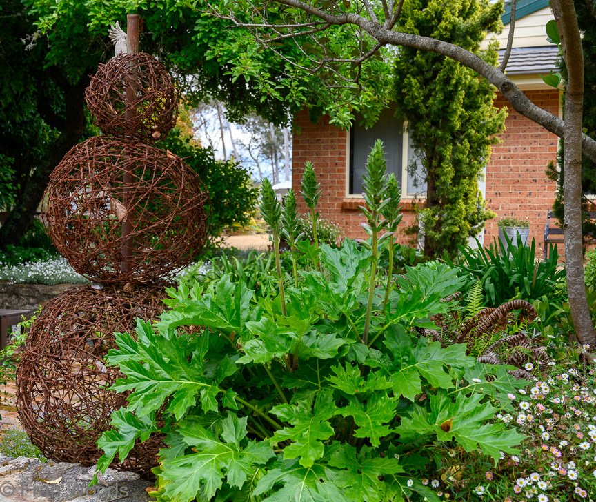 Garden 2