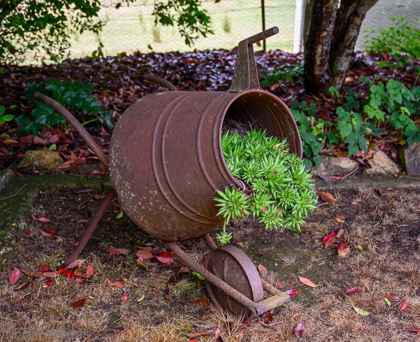 Garden 2