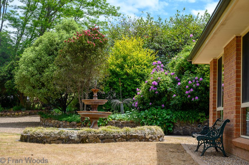 Garden 2