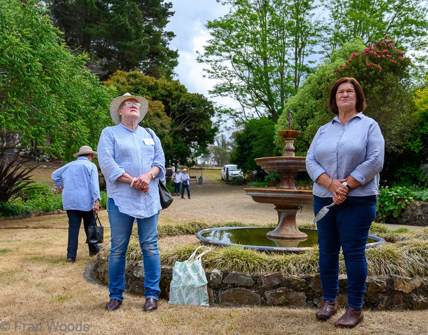 Garden 2