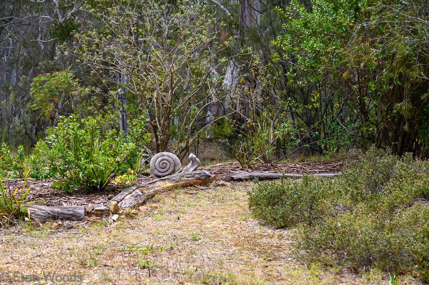 Garden 3