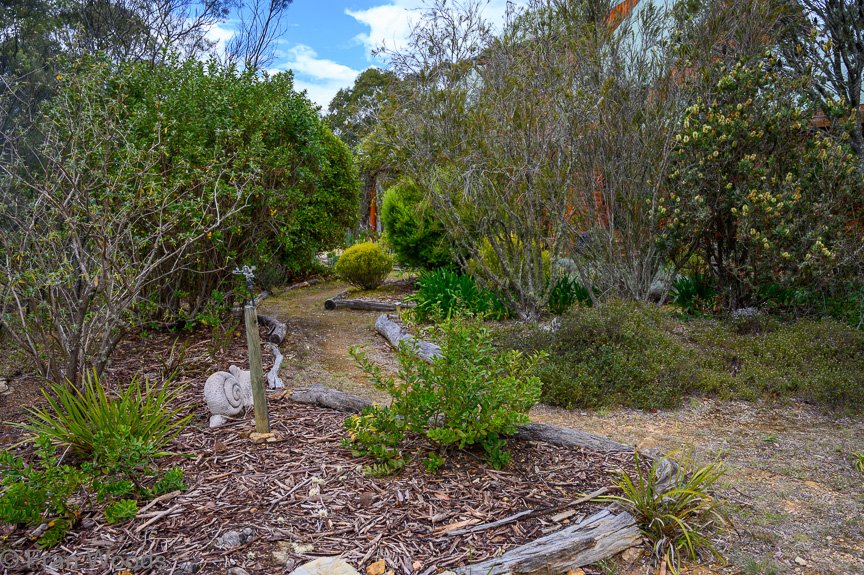Garden 3