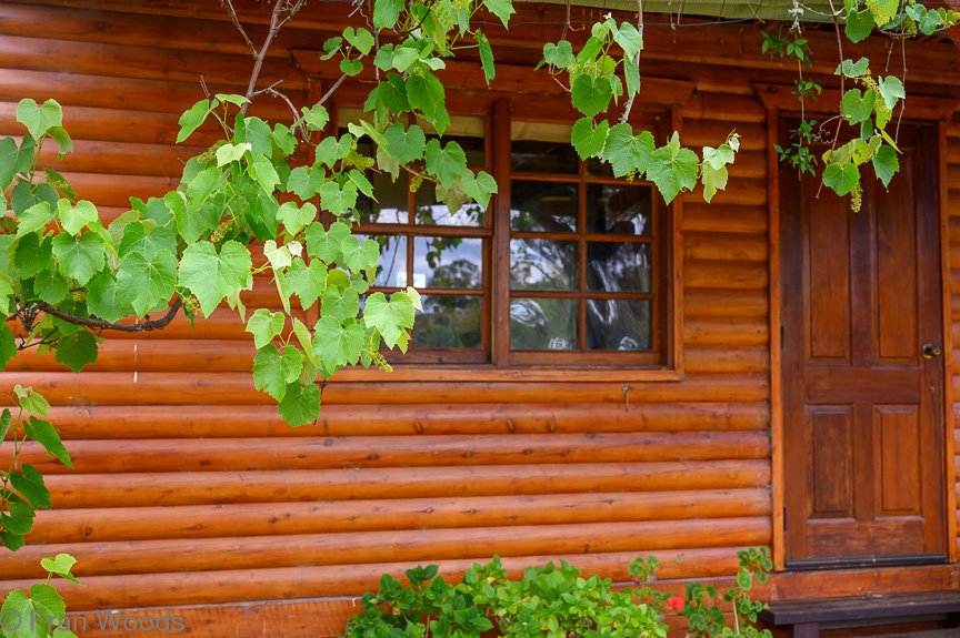 Garden 3