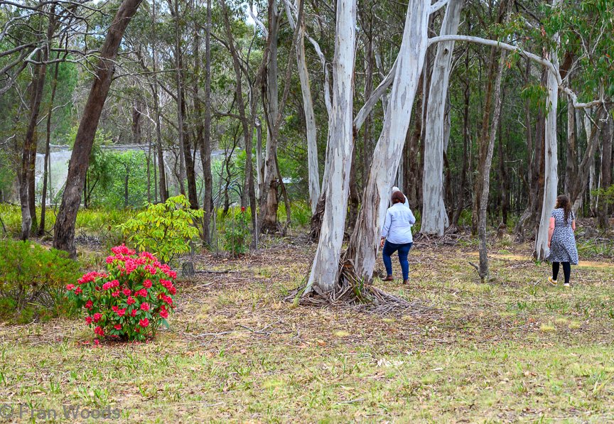 Garden 3