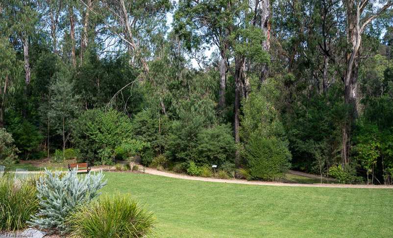 Eurobodalla Botanic Gardens